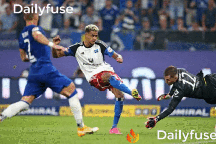 aufstellungen: teilnehmer: hertha bsc gegen hsv